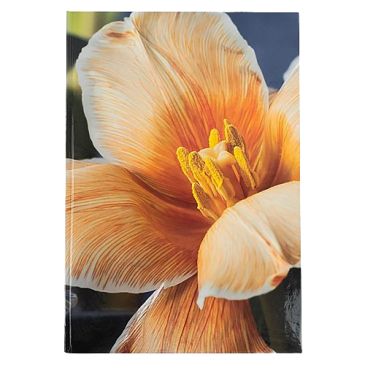 Книга для запису А4, 192 арк. клітинка, Flora, жовта