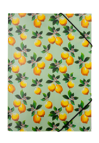 Папка на гумці, A4, EXOTIC, ARABESKI, на 400 арк., салатова